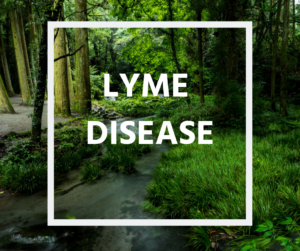 lyme disease, co-infections, lyme disease symptoms